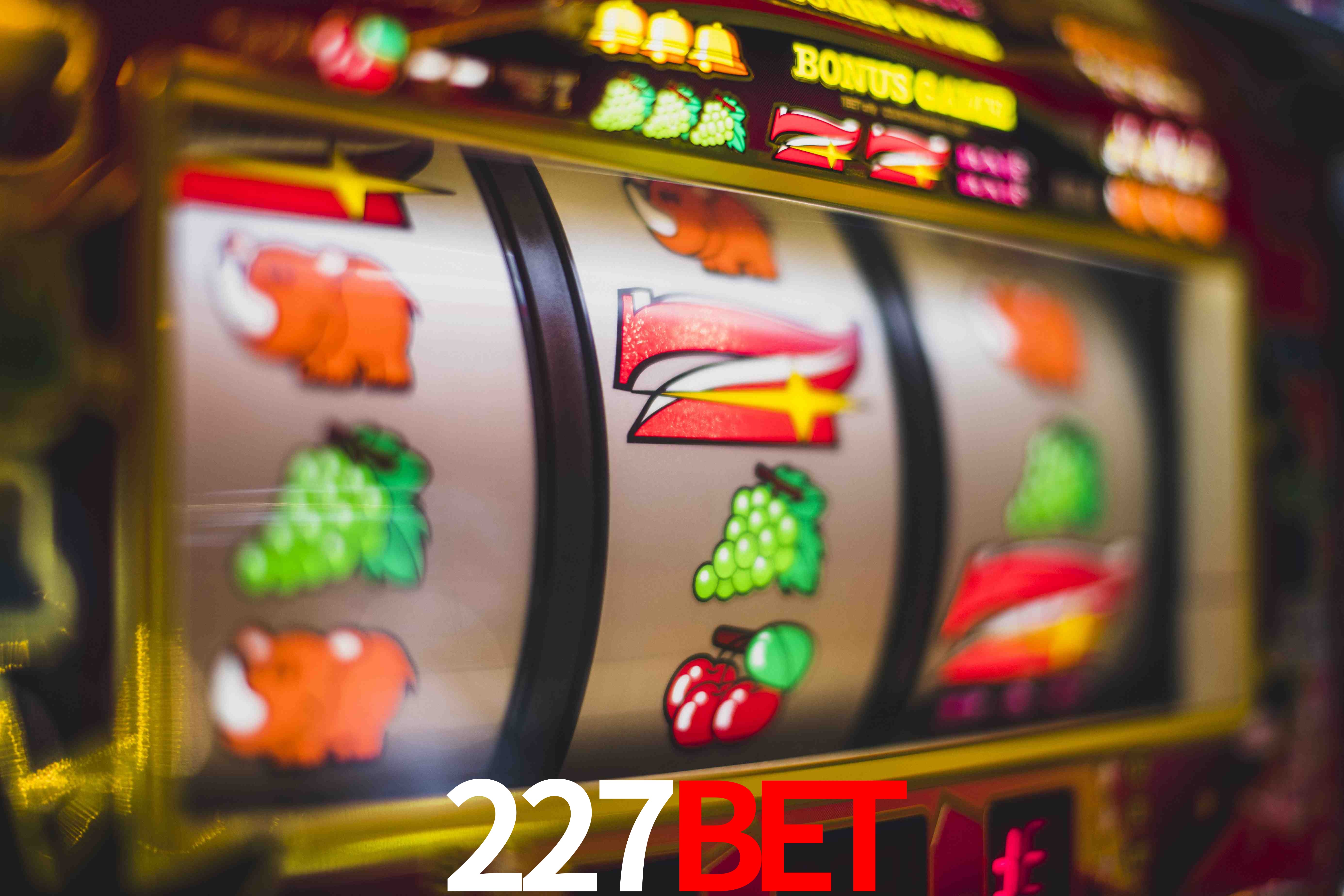 Sports Statistics 227Bet